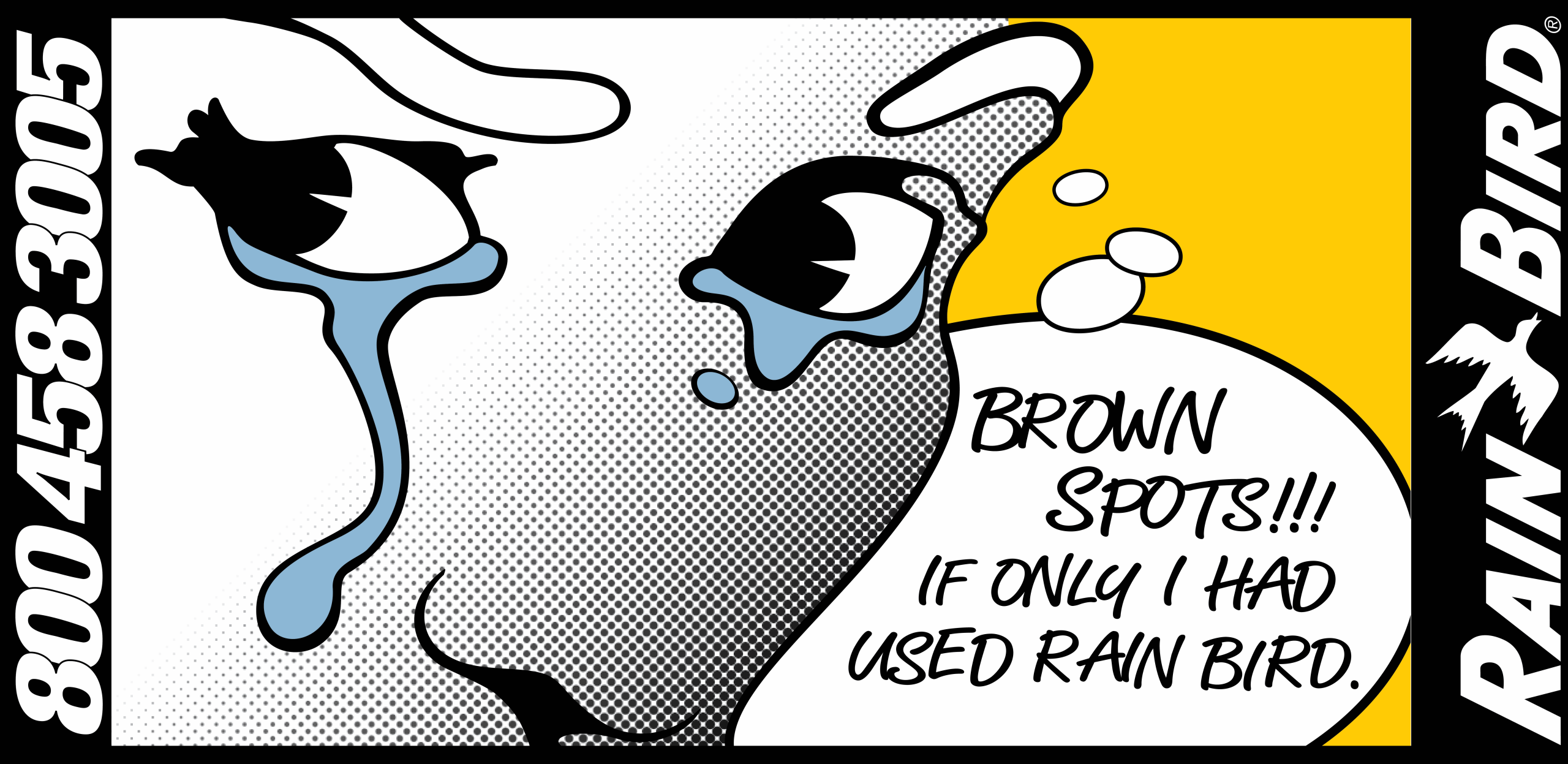 https://earthentic.agency/wp-content/uploads/2025/07/RainBird-Comics1-scaled.png