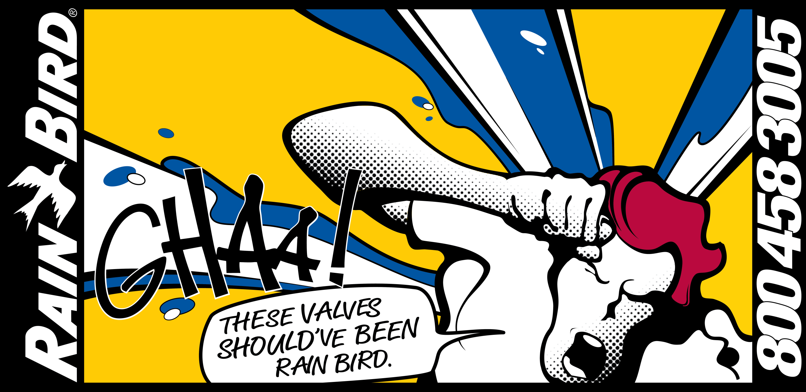 https://earthentic.agency/wp-content/uploads/2025/07/RainBird-Comics3-scaled.png